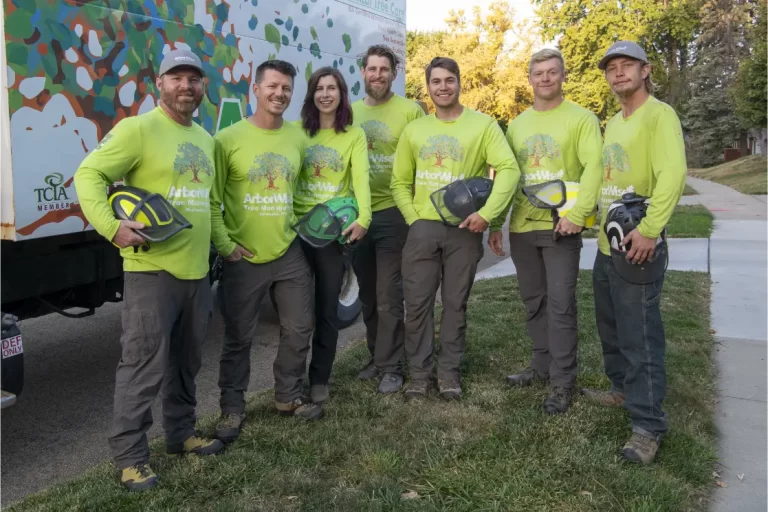 ArborWise Team