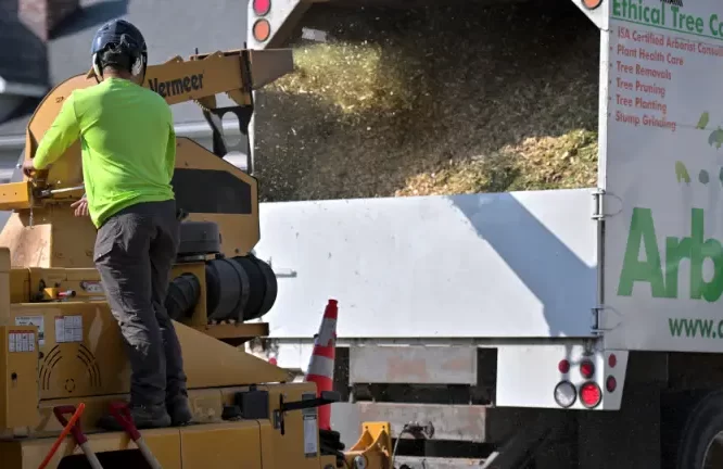 Commercial Tree Trimming