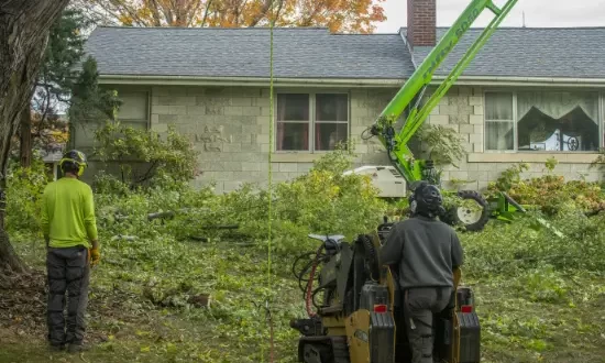 Residential Tree Trimming