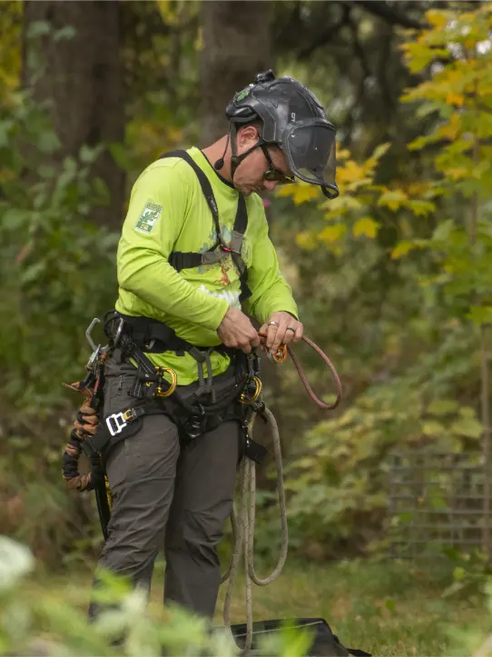 Tree Removal MN Mitch