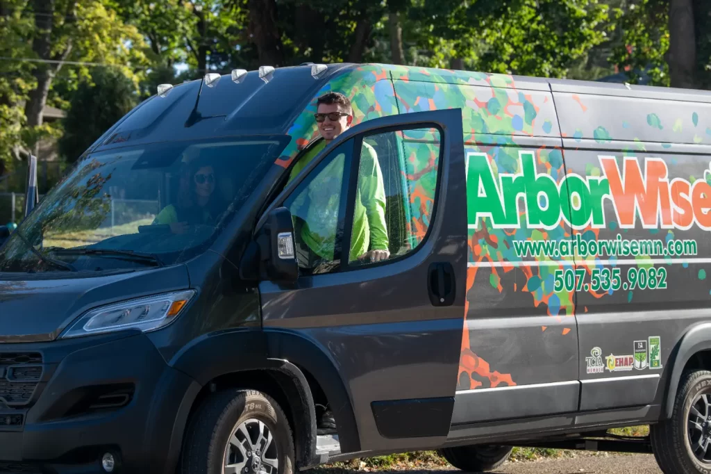 Tree Service Rochester MN 2.0