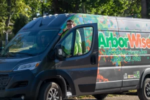 Tree Service Rochester MN 2.0