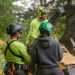 Hands-on leadership Hands-on leadership with Arborwise