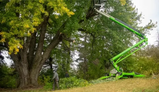 House Lift Assisted