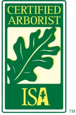 ISA Certified Arborist 1.0